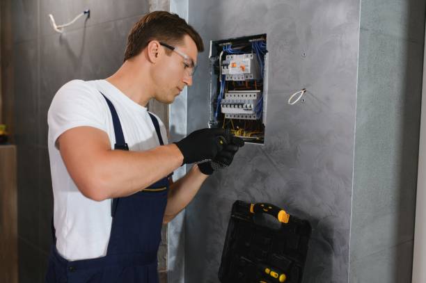 Best Electric Panel Repair  in Crest View Heights, NY